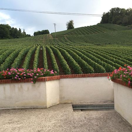 La Loge Du Vigneron Villa Vauciennes  Exteriör bild